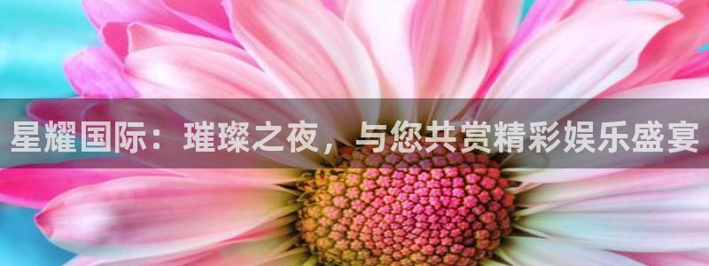 凯发网址登录：星耀国际：璀璨之夜，与您共赏精彩娱乐盛宴