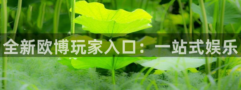 凯发精英体育：全新欧博玩家入口：一站式娱乐