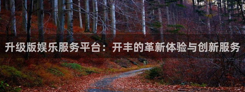 k8凯发(中国)：升级版娱乐服务平台：开丰的革新体验与创新服务