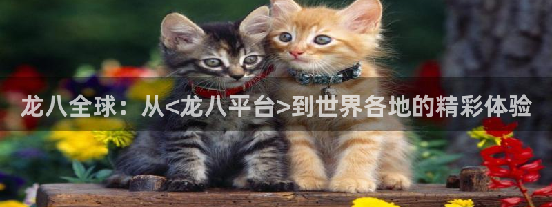 天津凯发集团：龙八全球：从<龙八平台>到世界各地的精彩体验