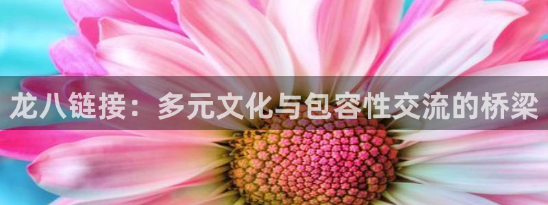 壹号下载官网入口：龙八链接：多元文化与包容性交流的桥梁