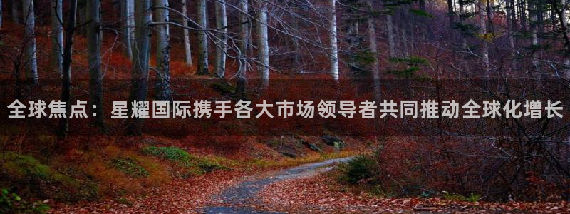 凯发链接：全球焦点：星耀国际携手各大市场领导者共同推动全球化增长