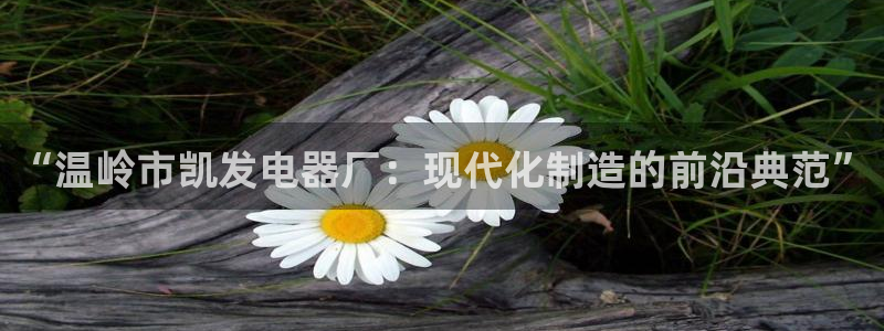 壹号电子娱乐app下载安装：“温岭市凯发电器厂：现代化制造的前沿典范”