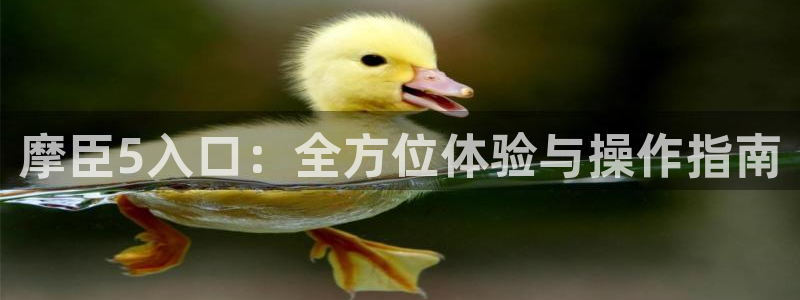 k8凯发旗舰厅：摩臣5入口：全方位体验与操作指南