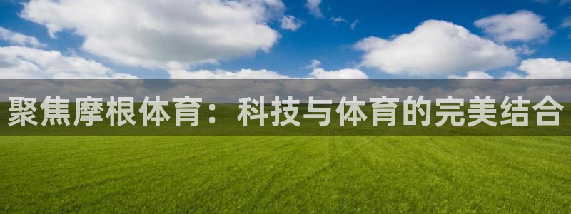 凯发k8555：聚焦摩根体育：科技与体育的完美结合
