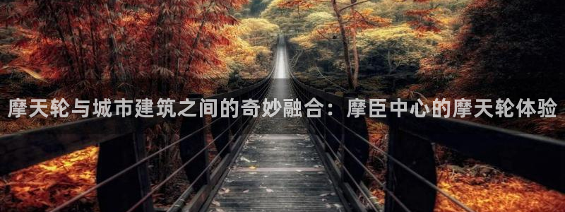 壹号电子娱乐app下载：摩天轮与城市建筑之间的奇妙融合：摩臣中心的摩天轮体验