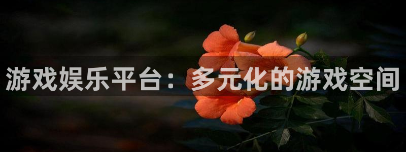 k8凯发放水时间：游戏娱乐平台：多元化的游戏空间