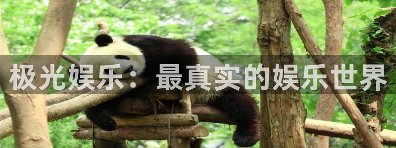 壹号app下载官网娱乐：极光娱乐：最真实的娱乐世界