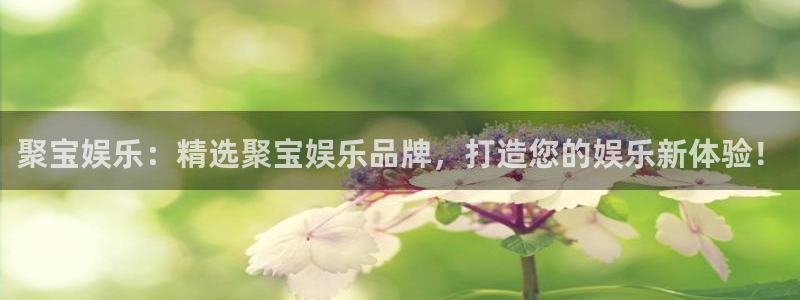 下载k8凯发：聚宝娱乐：精选聚宝娱乐品牌，打造您的娱乐新体验！