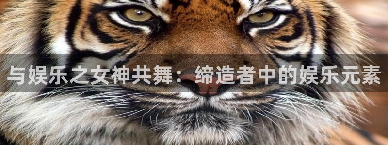 k8凯发app官网下载：与娱乐之女神共舞：缔造者中的娱乐元素
