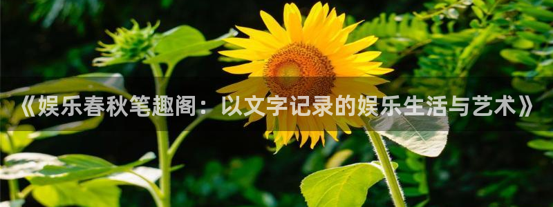 k8凯发娱乐：《娱乐春秋笔趣阁：以文字记录的娱乐生活与艺术》