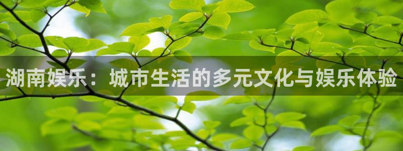 k8凯发加拿大：湖南娱乐：城市生活的多元文化与娱乐体验
