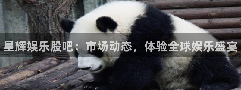 凯发登录：星辉娱乐股吧：市场动态，体验全球娱乐盛宴