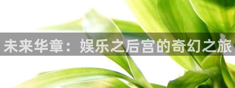 k8凯发旗舰厅：未来华章：娱乐之后宫的奇幻之旅