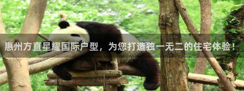 凯发苑：惠州方直星耀国际户型，为您打造独一无二的住宅体验！