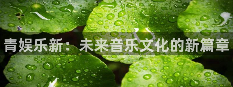 k8凯发平台下载入口：青娱乐新：未来音乐文化的新篇章
