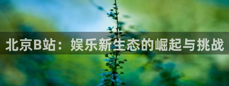 凯发k8官凯发k8官网电话：北京B站：娱乐新生态的崛起与挑战