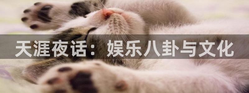 k8凯发网站：天涯夜话：娱乐八卦与文化