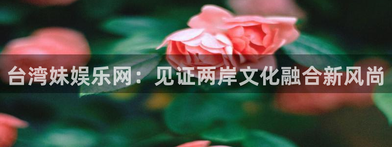 ag凯发平台：台湾妹娱乐网：见证两岸文化融合新风尚
